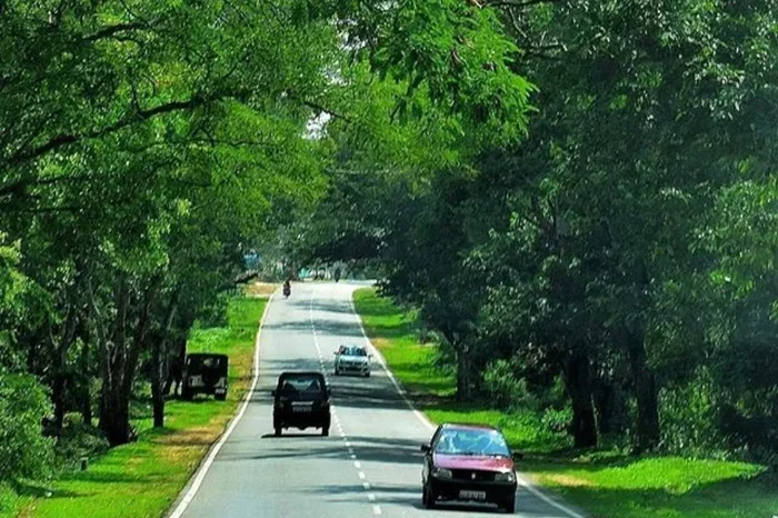 2 Days Trip from Bangalore by Car Perfect Getaway Plan