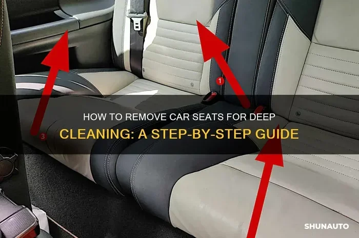 Can I Remove Car Seats to Clean My Car the Easy Way