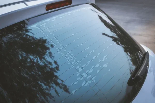 60 Percent Window Tint Explained What You Should Know