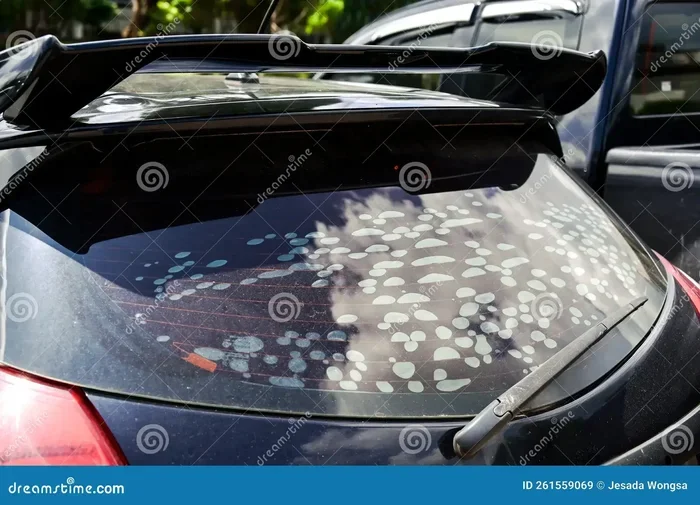 Damaged Auto Tint: Causes Fixes and Replacement Options