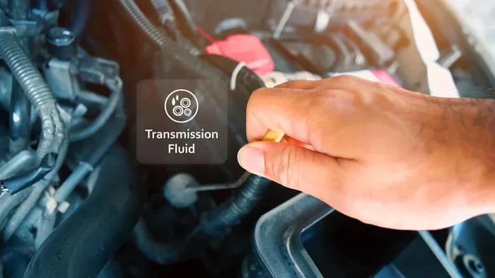 Do You Check Your Transmission Fluid in Park or Drive